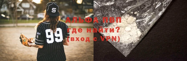 сатива Алзамай