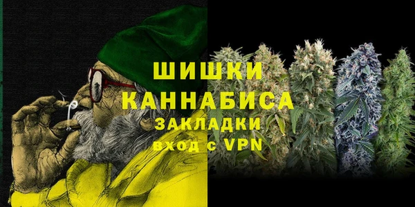 гидра Алексин