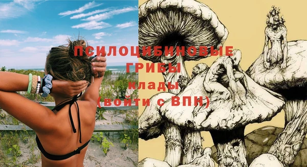 MESCALINE Алексеевка