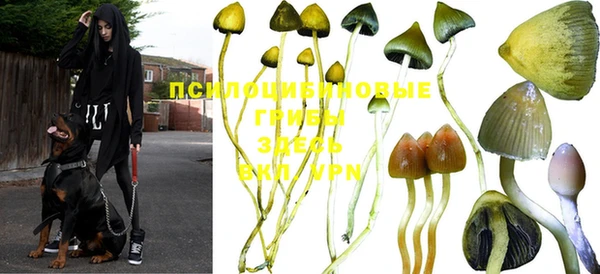 MESCALINE Алексеевка