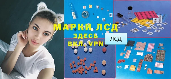 сатива Алзамай